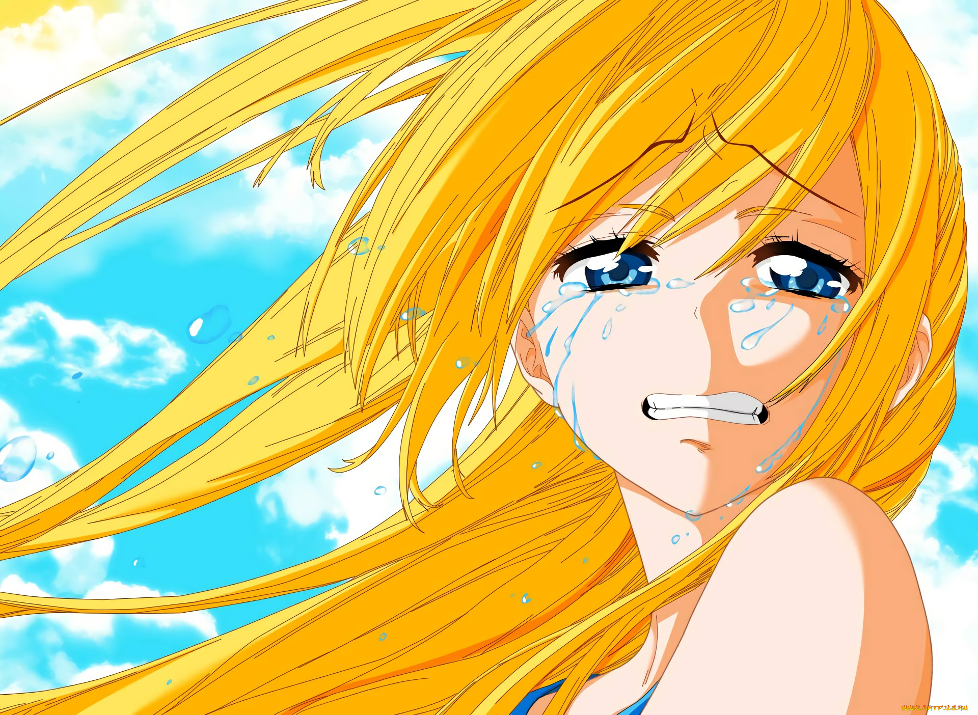 , nisekoi, , , 